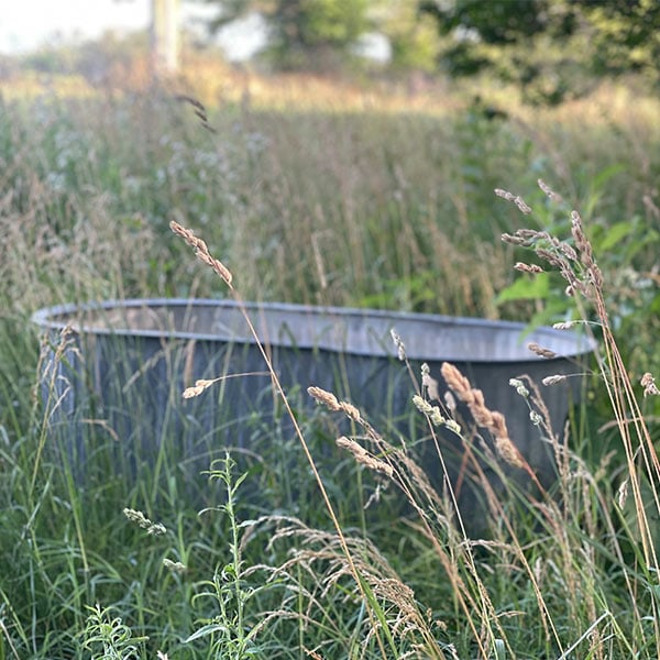 Tub for Supplemental Watering for Deer and Herd Health