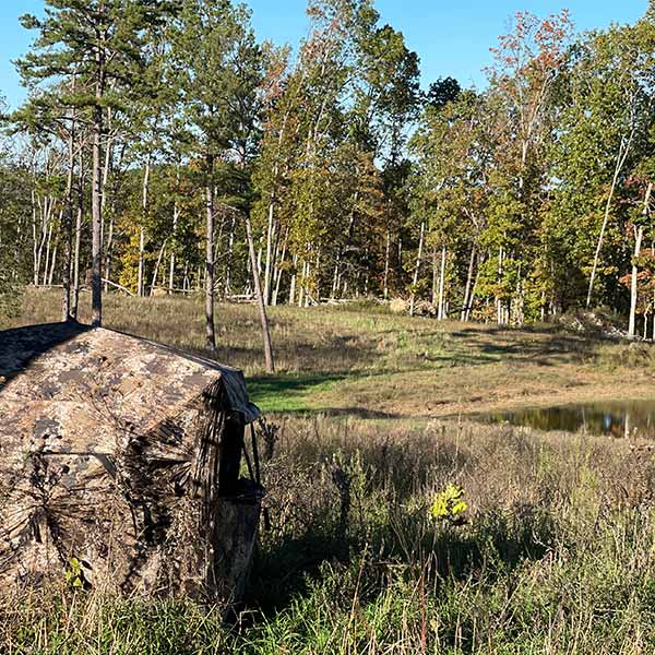 Hunting Blind Set Up by Watering Hole for Deer Drinking Water
