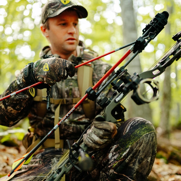 Is Early Season The Best Time To Harvest Does