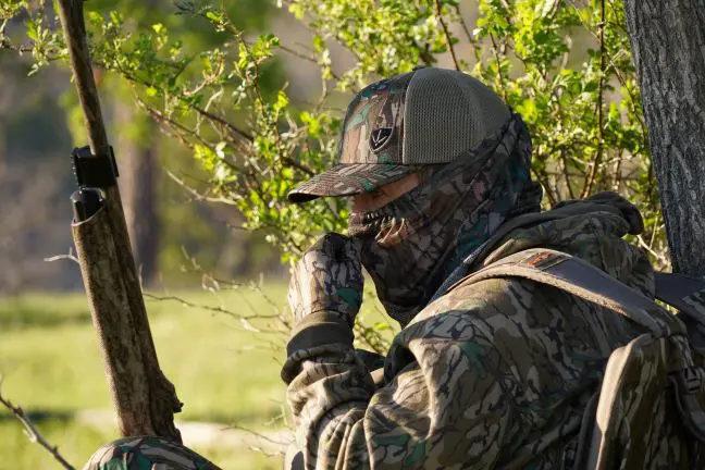 turkey calls