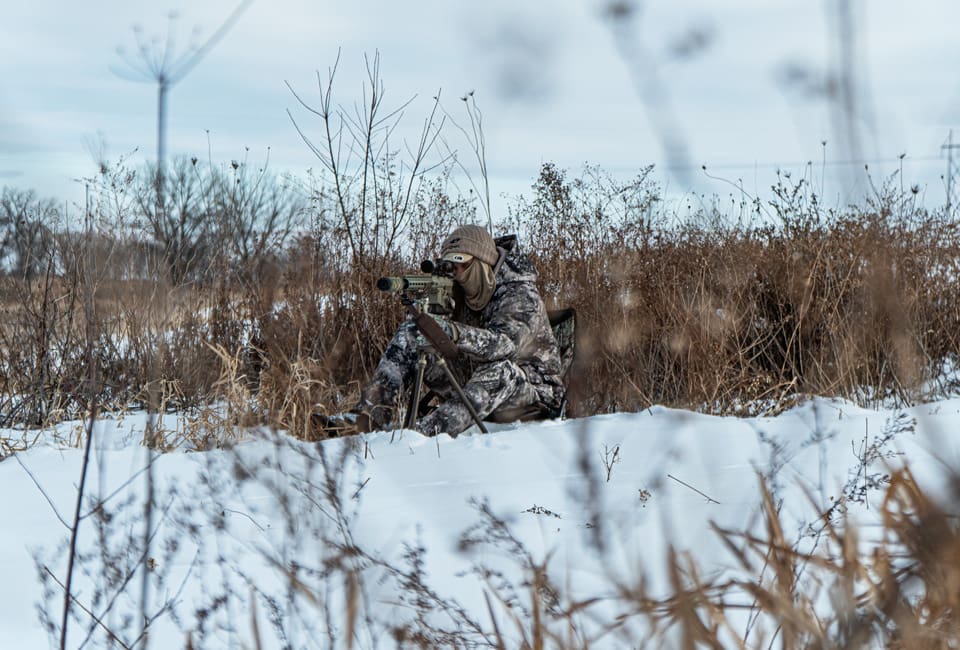 Winter Coyote Hunting