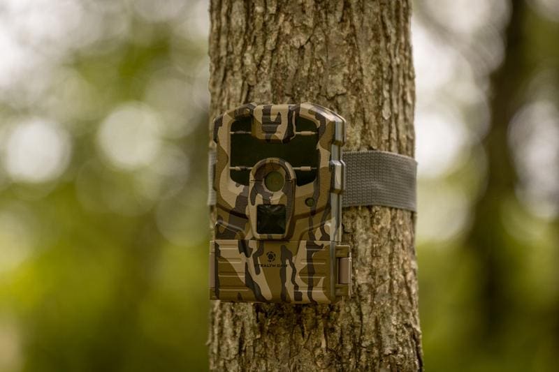 Last Minute Treestand Adjustments Based On Game Camera Intel