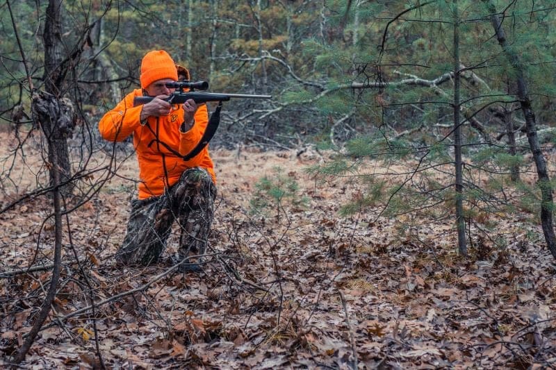 Bowhunter Vs. Gun Hunter: Exploring The Advantages