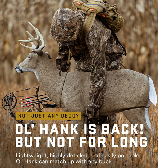 The Buck Is Back!