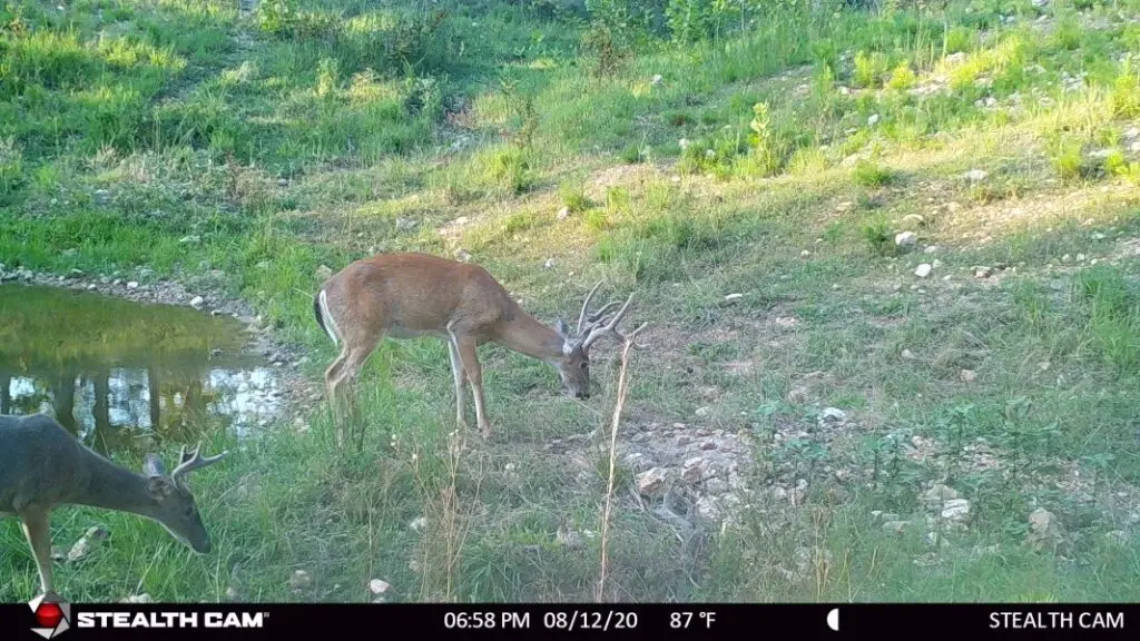 Best Stand Sites For Opening Day