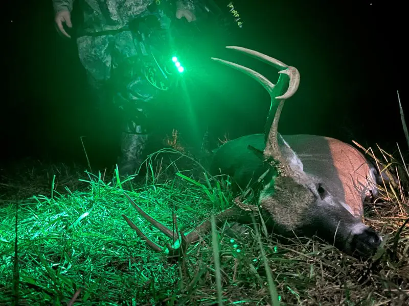 Best Stand Sites For Opening Day