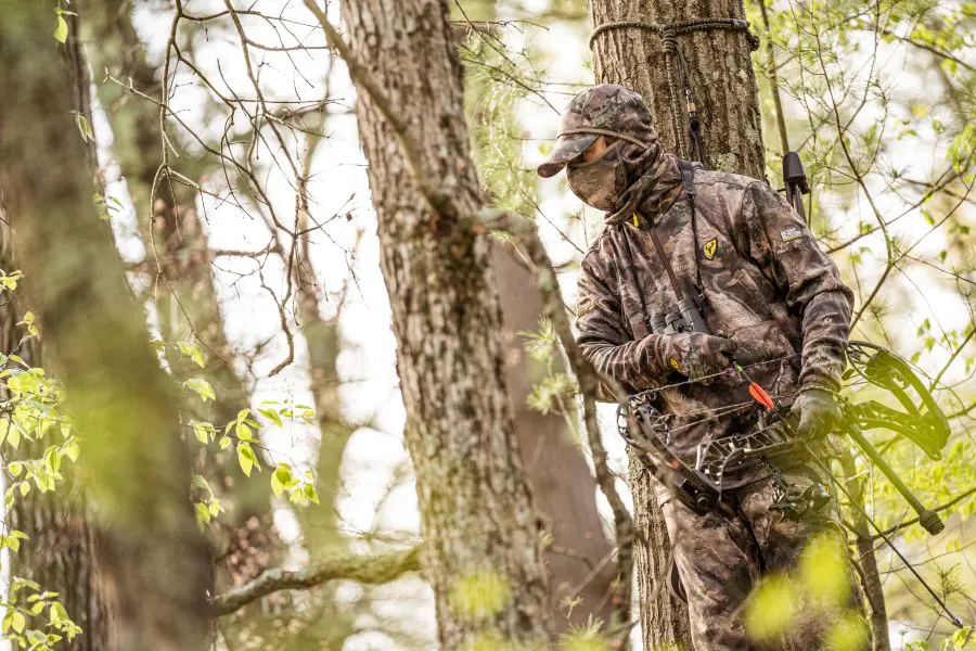 Kill An Early Season Buck In The Morning