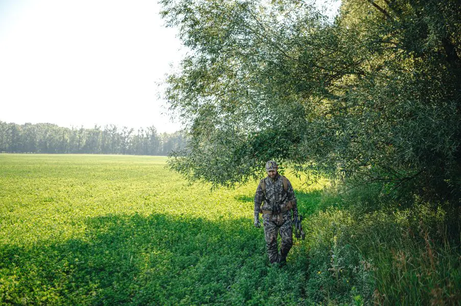 3 Ways To Harvest A Velvet Buck