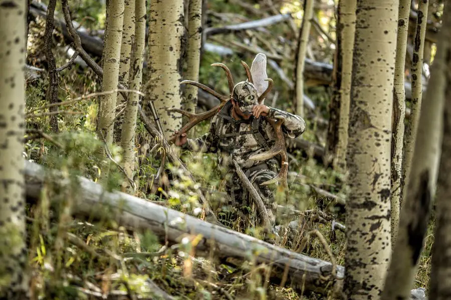 10 Tips For The Diy Elk Hunter