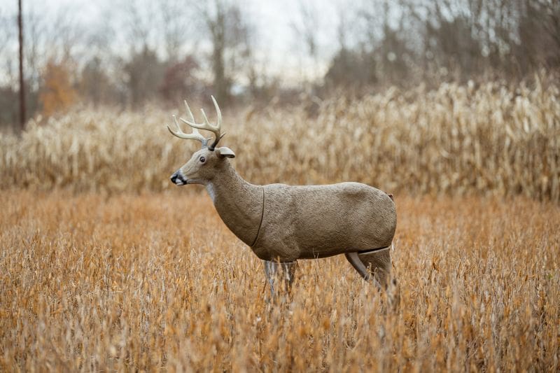 Advanced Deer Decoy Tactics
