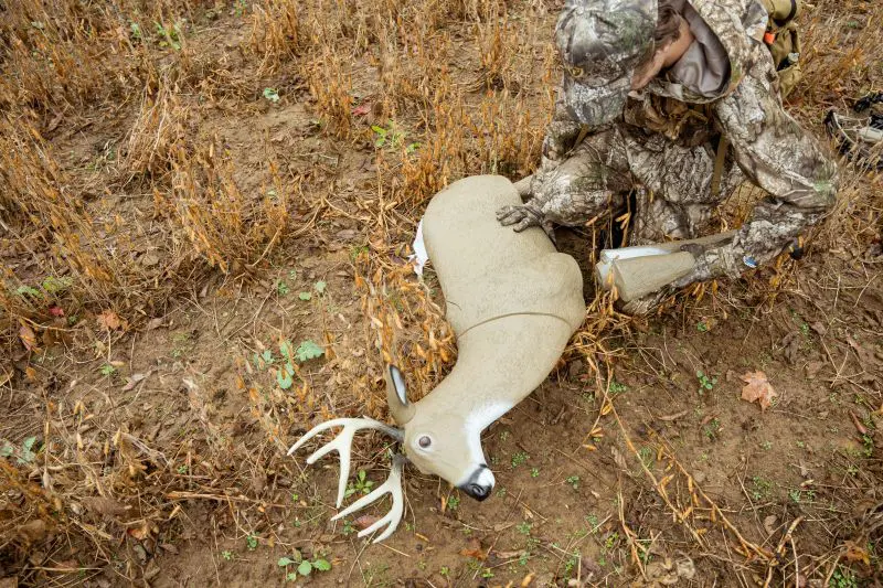 Advanced Deer Decoy Tactics