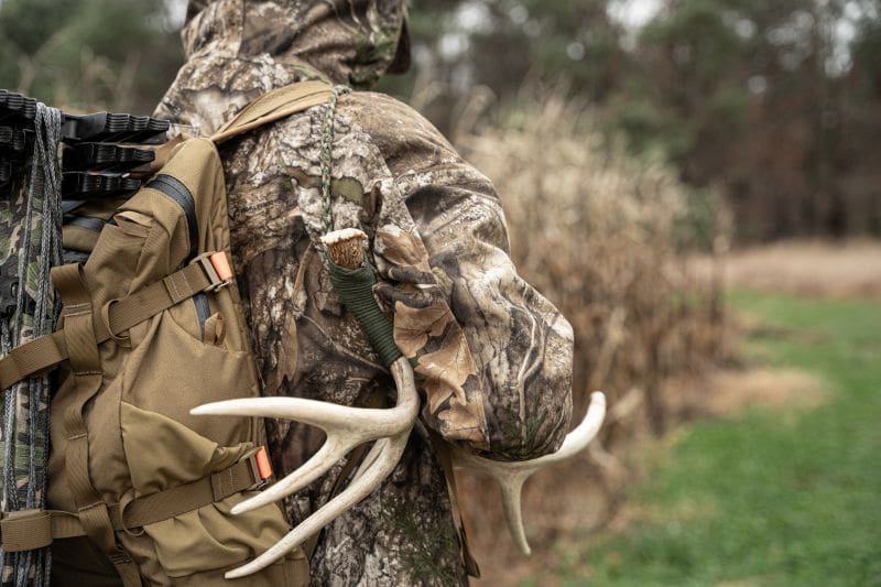 Calling And Rattling Masterclass: Speaking The Language Of The Rut