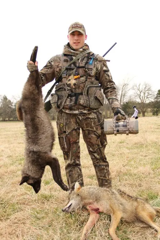 Cold, Hungry, And Vocal: Why January And February Are Prime Months For Calling Coyotes