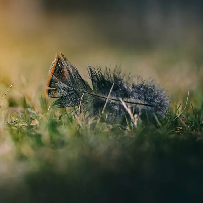 A Finisher's Mindset