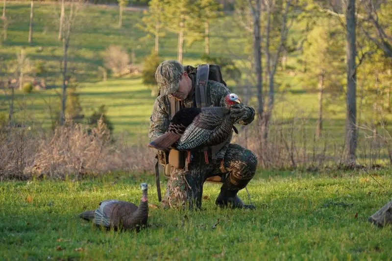 How To Kill A Gobbler Within The First 30 Minutes Of The Day
