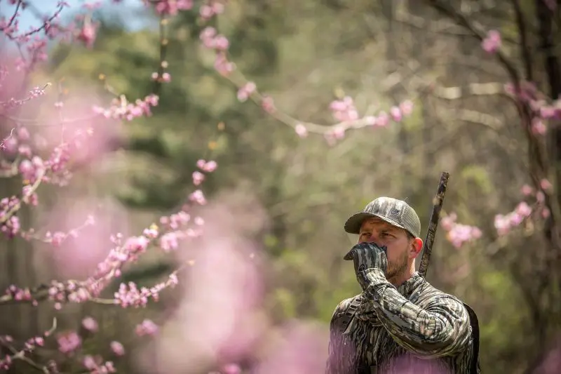 Giving Up The Ghost In The Timber