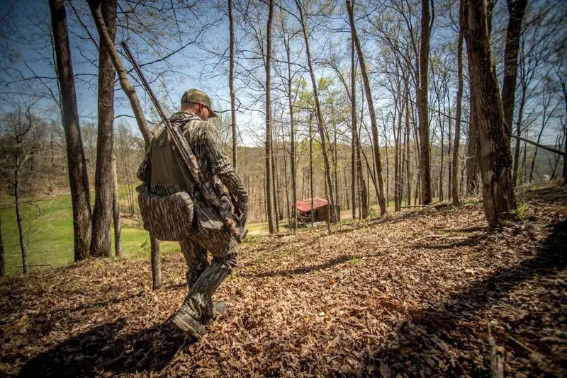 Giving Up The Ghost In The Timber