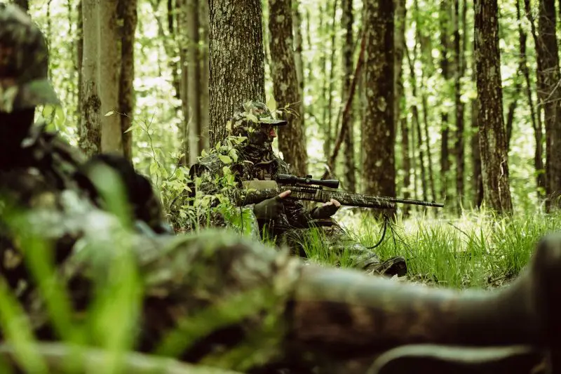 Giving Up The Ghost In The Timber