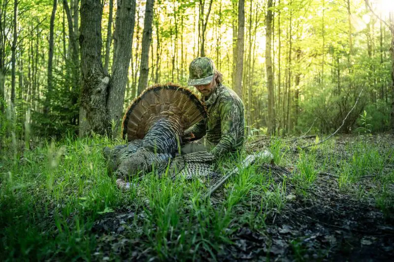 Giving Up The Ghost In The Timber