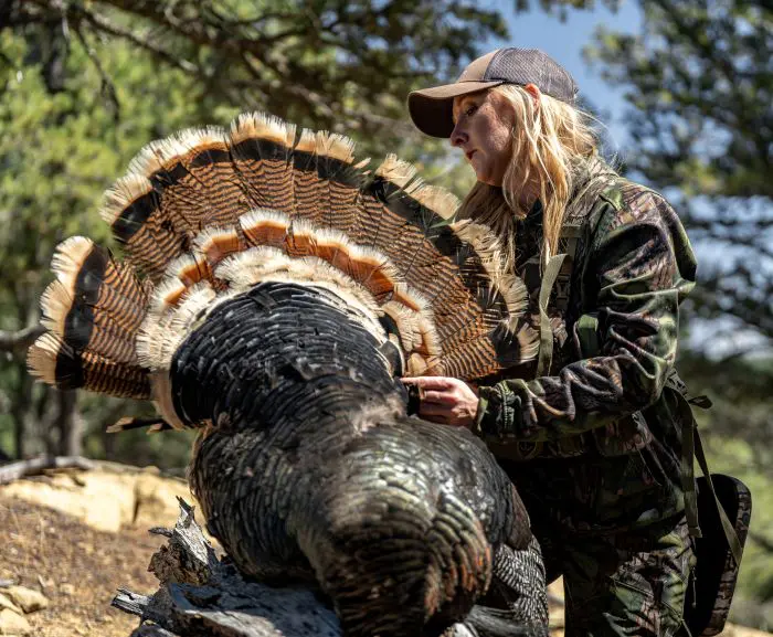 Best States To Turkey Hunt In May