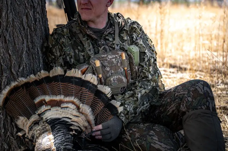 Best States To Turkey Hunt In May