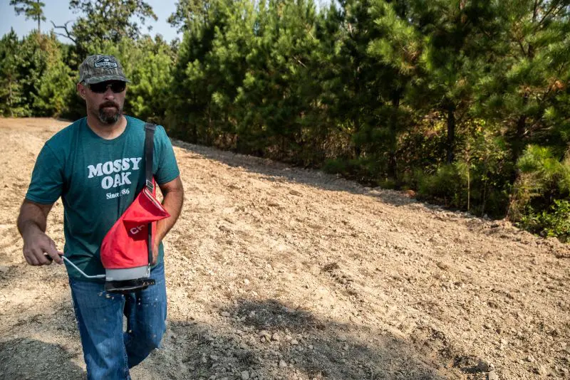Best Times To Plant Food Plots