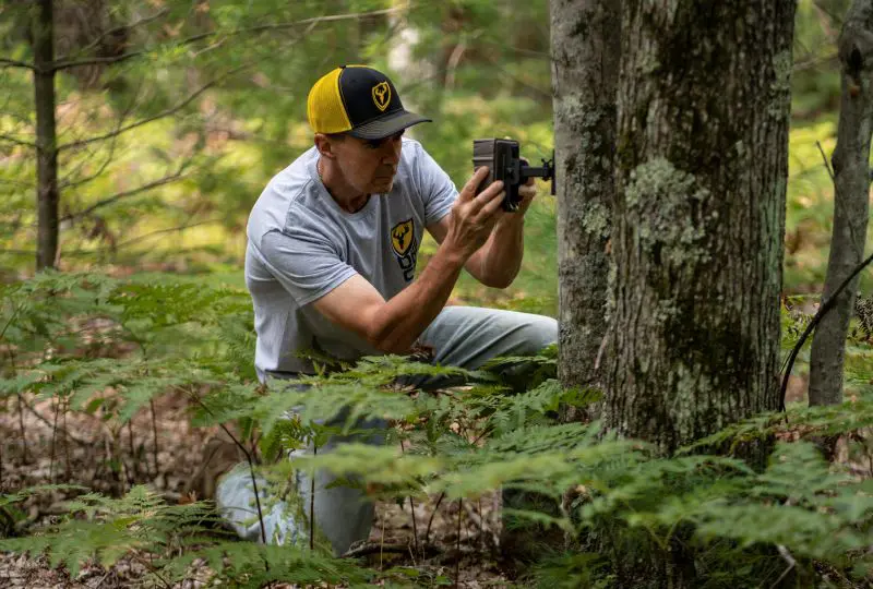 Off Season Tasks To Improve Your Deer Season