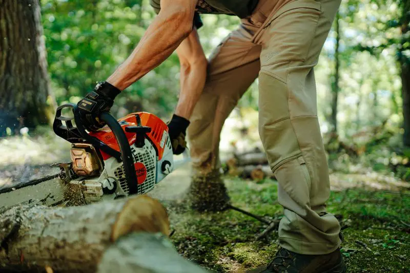 Off Season Tasks To Improve Your Deer Season