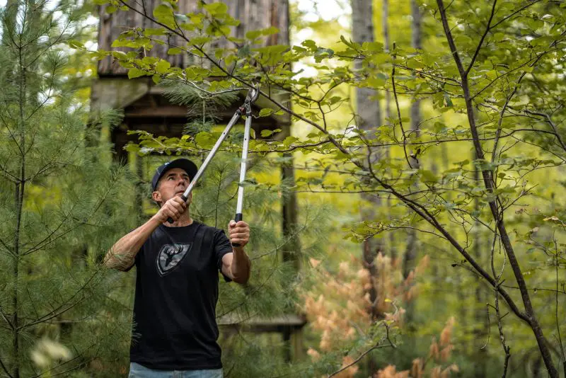 The Late Summer Advantage: Hanging Stands In August
