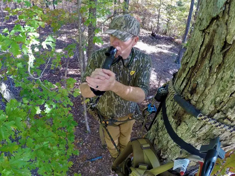 The Late Summer Advantage: Hanging Stands In August