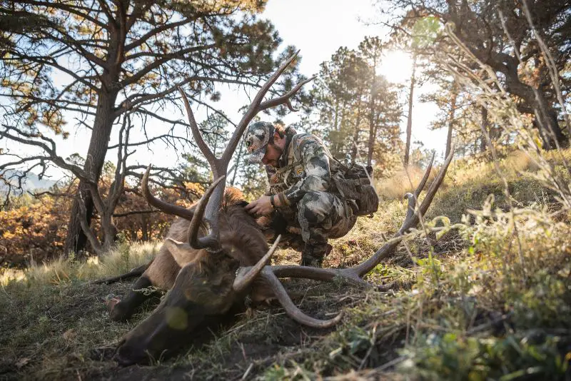 Staying Scent Free While Elk Hunting