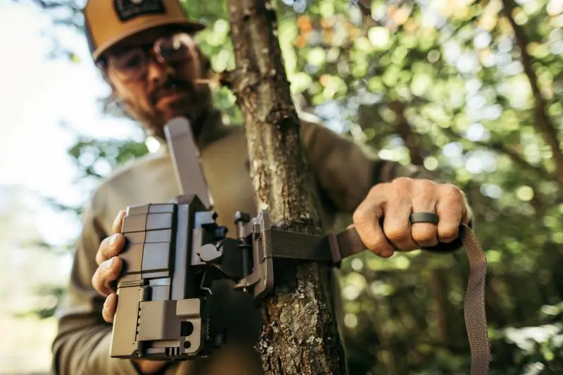 Best Summer Scouting Tips: Find More Deer Without Educating Them