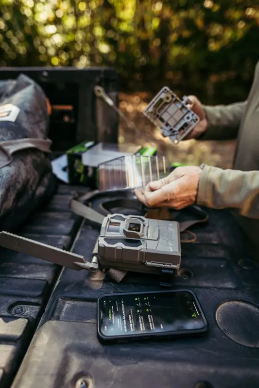Best Summer Scouting Tips: Find More Deer Without Educating Them