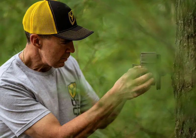 Best Summer Scouting Tips: Find More Deer Without Educating Them