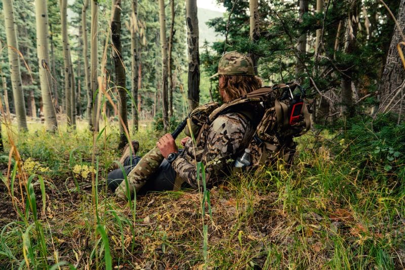 September And October Elk Calling Tips For Public Land