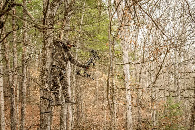 Keep Your Archery Skills Sharp Throughout The Hunting Season