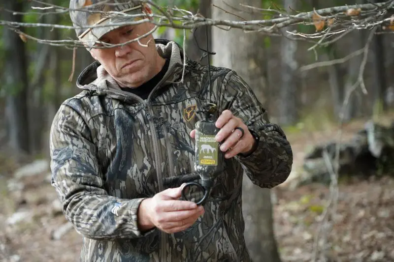 Scrapes Are Heating Up What October Whitetail Sign Is Telling You