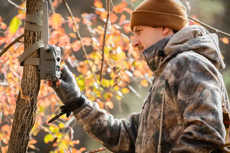 Scrapes Are Heating Up What October Whitetail Sign Is Telling You